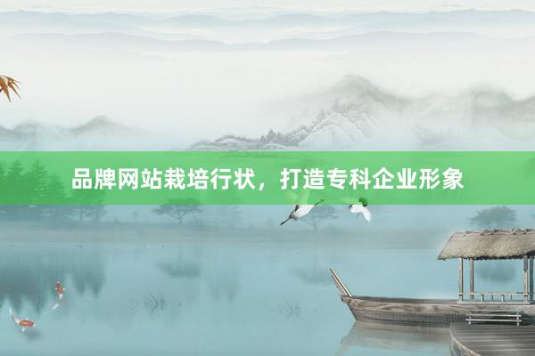 品牌网站栽培行状，打造专科企业形象